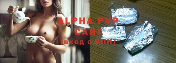 твердый Абаза