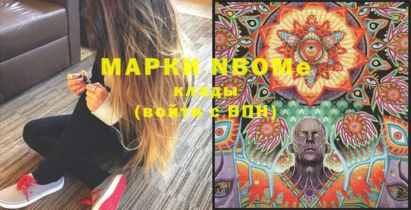 мет Алексин