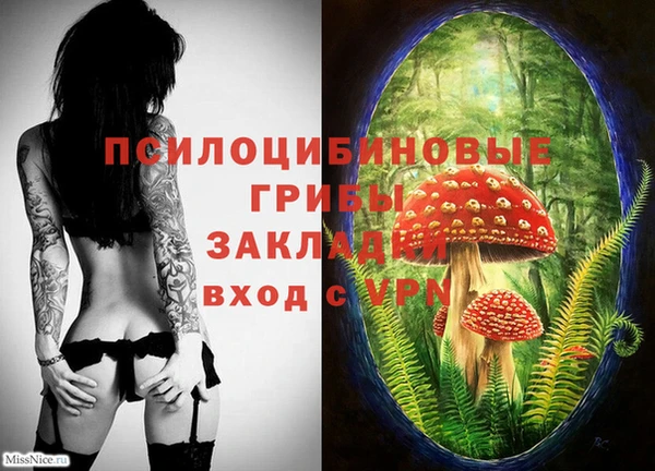 ПСИЛОЦИБИНОВЫЕ ГРИБЫ Абдулино