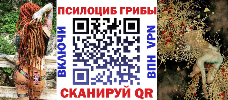 Псилоцибиновые грибы ЛСД  дарнет шоп  Кинешма 