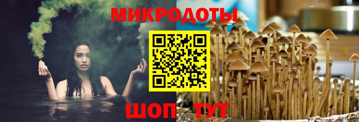 Кинешма  Галлюциногенные грибы мицелий  Вход с VPN 